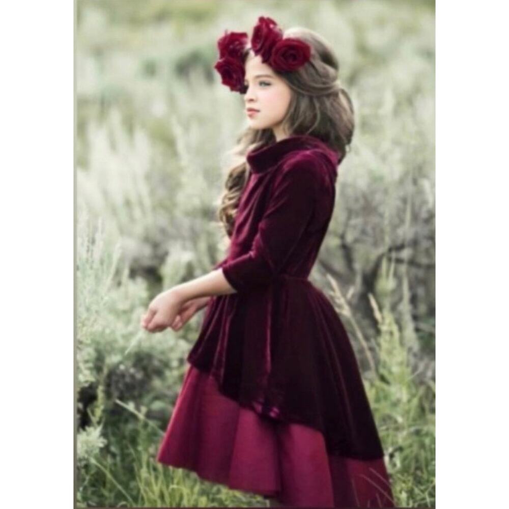 Joyfolie Mia Joy Burgundy Velvet Dress